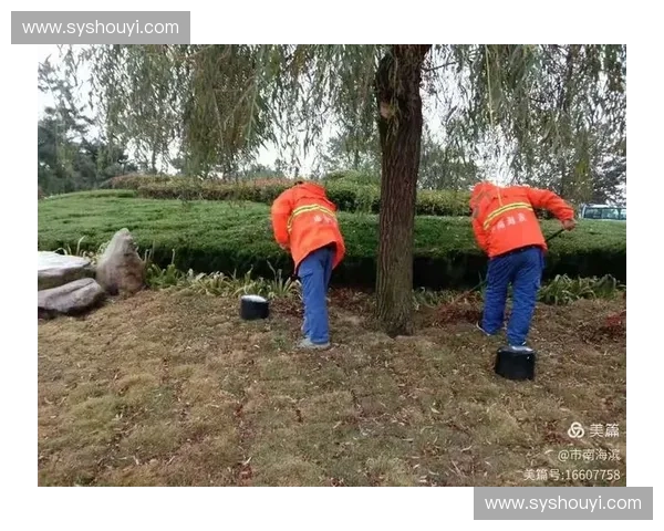 运动地面维护与清洁保养全流程解析及科学管理策略指南与实战案例 运动地面维护与清洁保养全流程解析及科学管理策略指南与实战案例