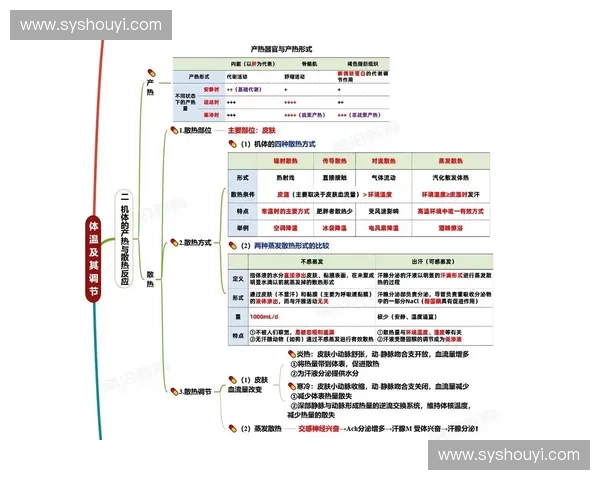 围绕能量代谢机制构建细胞适应性调控与稳态维持研究新视角新思路